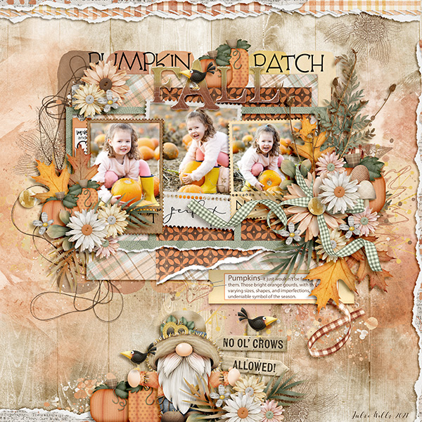 pumpkin patch