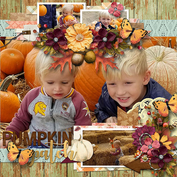 Pumpkin Patch
