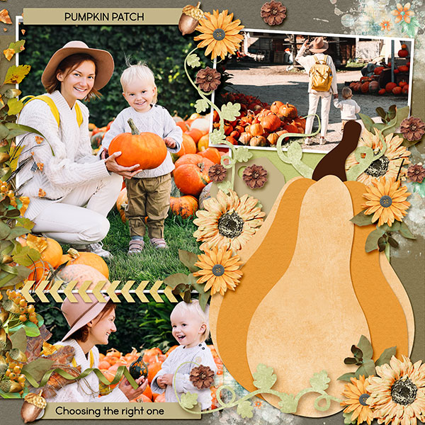 Pumpkin Patch