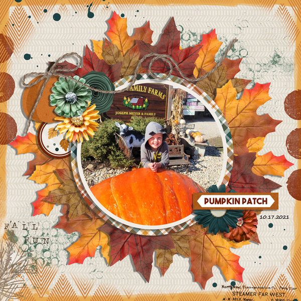pumpkin patch