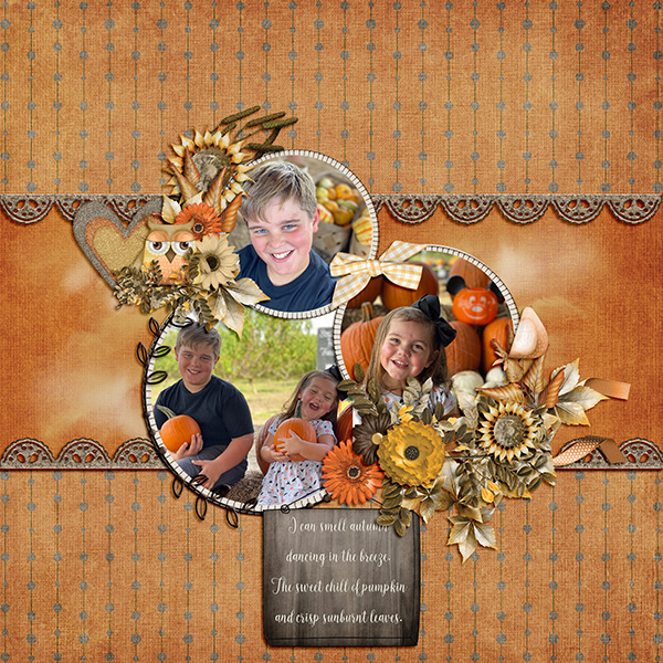 Pumpkin Patch
