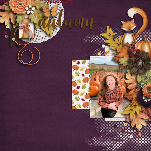 Pumpkin Patch