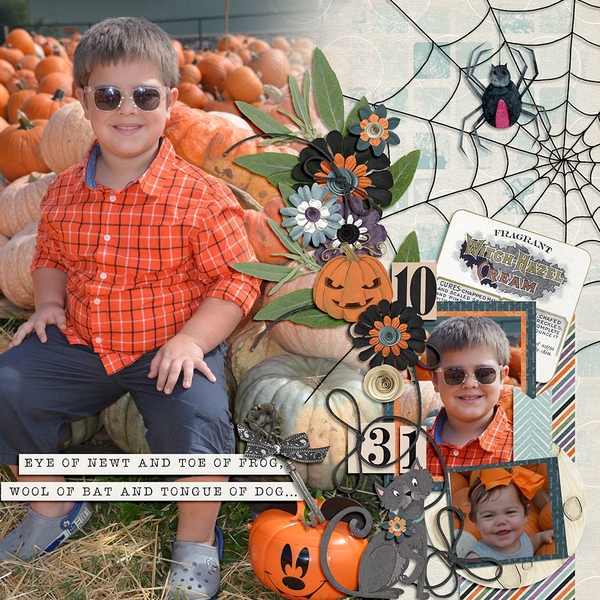 Pumpkin Patch