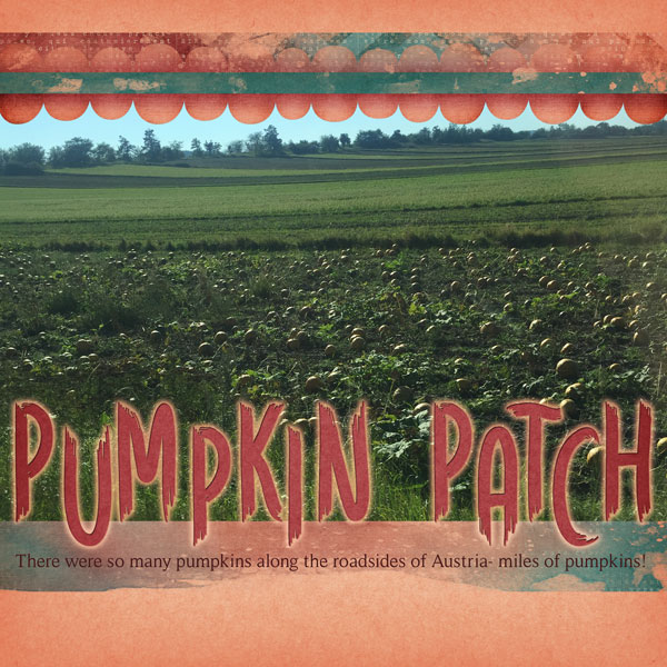 Pumpkin Patch