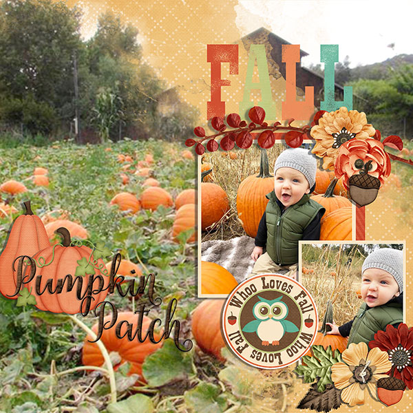 pumpkin patch