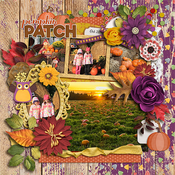 Pumpkin patch