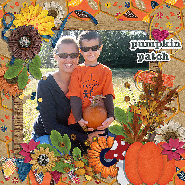 pumpkin patch