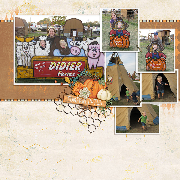 Pumpkin Patch