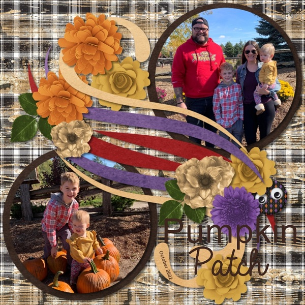 Pumpkin Patch