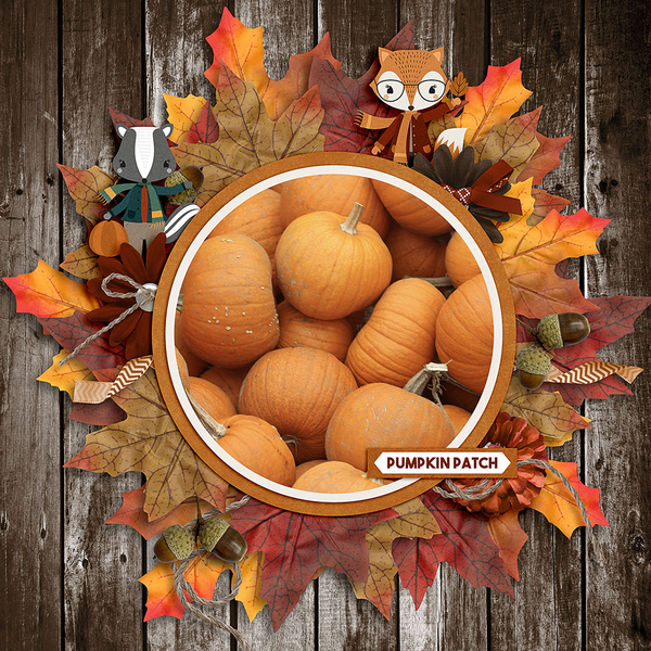 Pumpkin-Patch