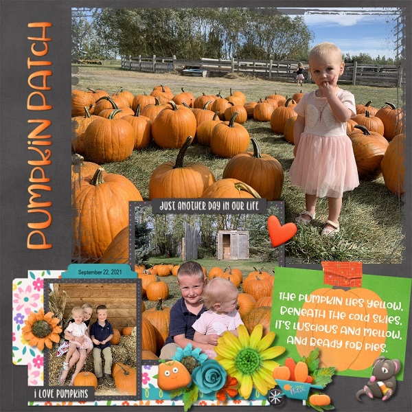 Pumpkin Patch