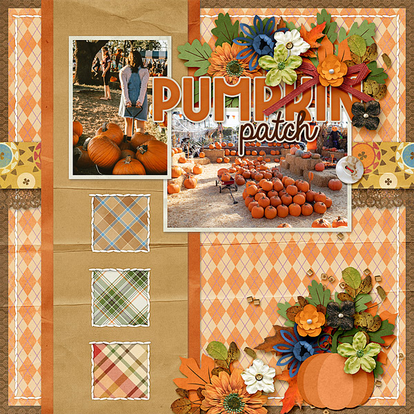 Pumpkin Patch