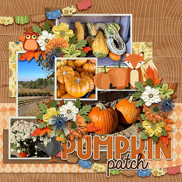 pumpkin patch