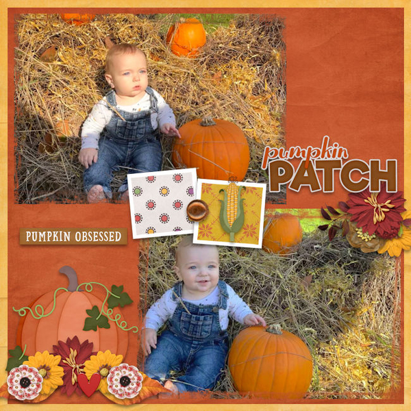Pumpkin Patch