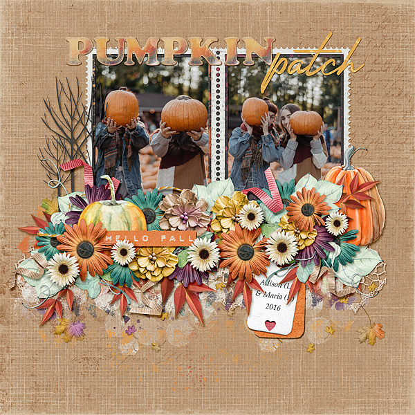 Pumpkin Patch