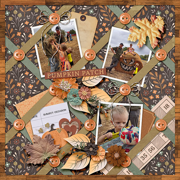 Pumpkin Patch