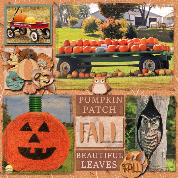 Pumpkin Patch