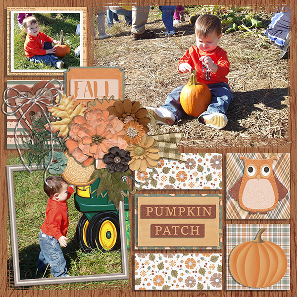 pumpkin patch