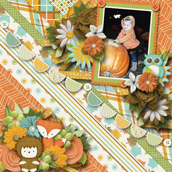 Pumpkin Patch