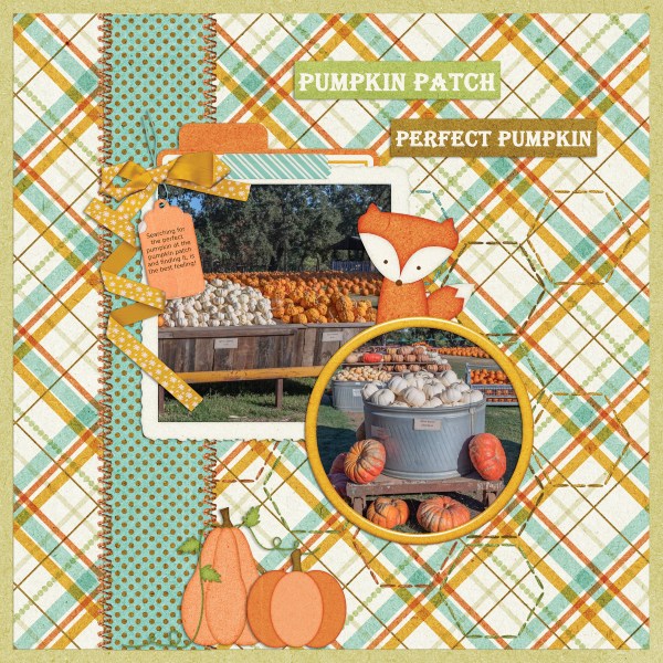 Pumpkin Patch