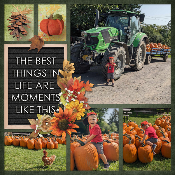 Pumpkin patch