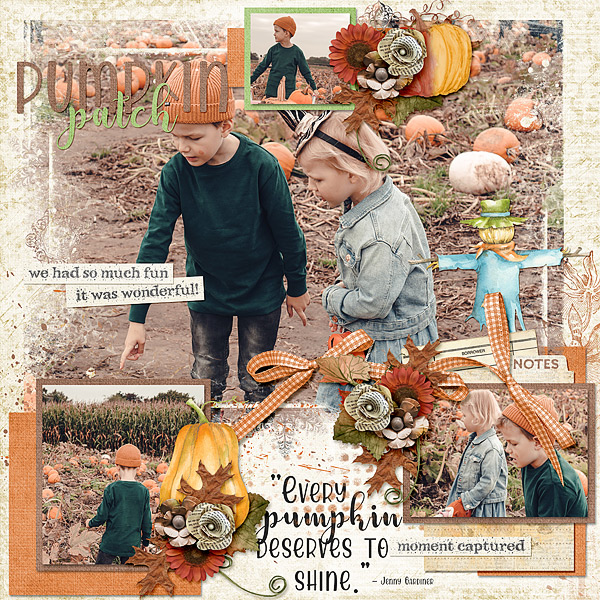 Pumpkin Patch