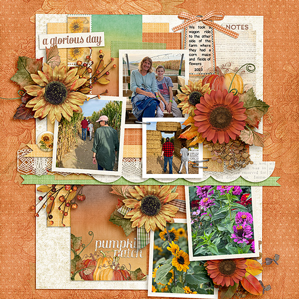 Pumpkin-Patch