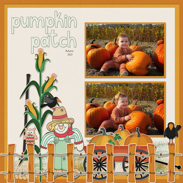 Pumpkin Patch