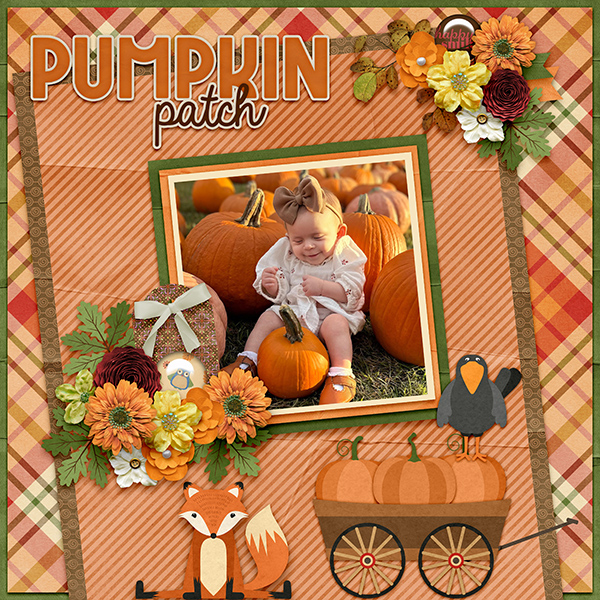 Pumpkin Patch