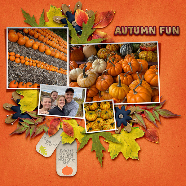 Pumpkin Patch