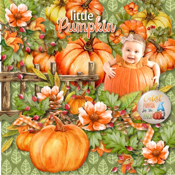 pumpkin patch