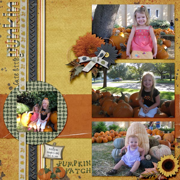 Pumpkin patch