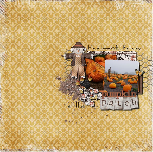 Pumpkin Patch