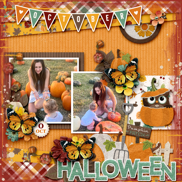 Pumpkin Patch