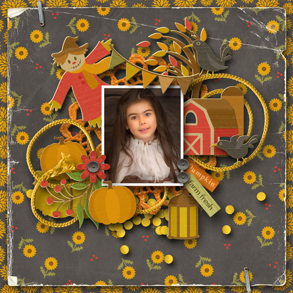 Pumpkin Patch