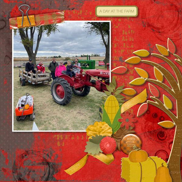 Pumpkin Patch