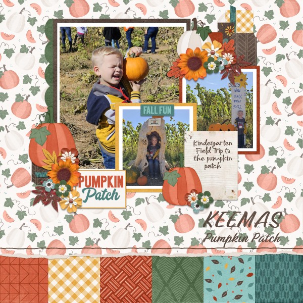 Pumpkin Patch