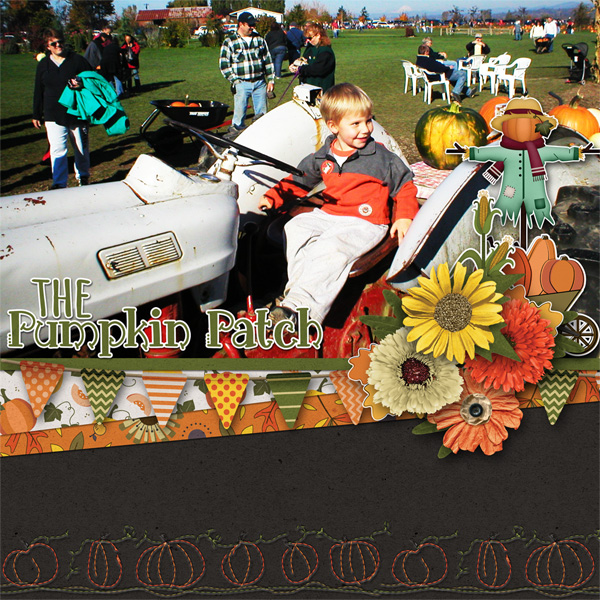 Pumpkin Patch