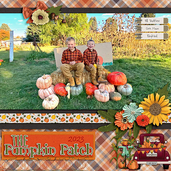 Pumpkin Patch