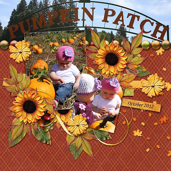 Pumpkin Patch