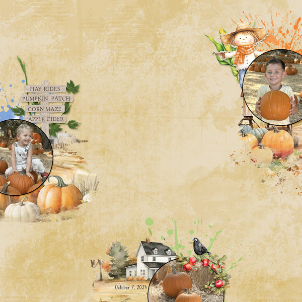 Pumpkin Patch