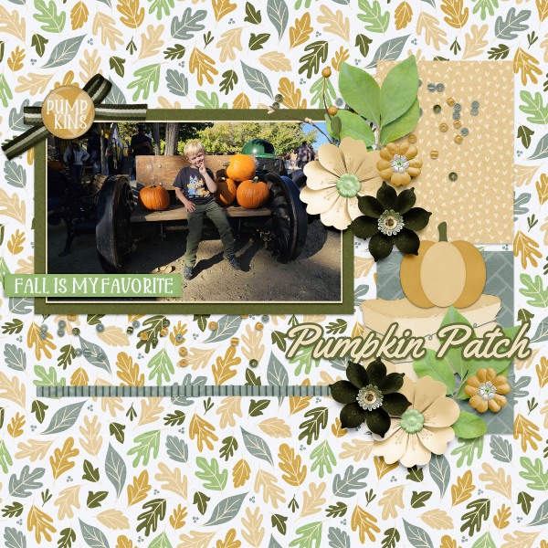 Pumpkin Patch