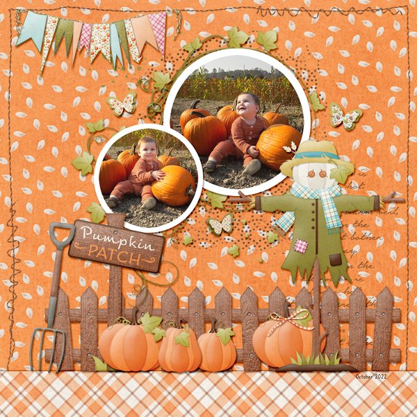 Pumpkin Patch