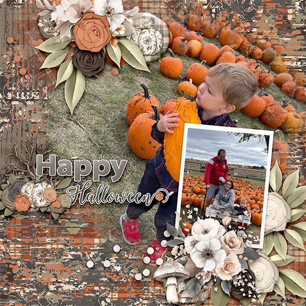 Pumpkin Patch