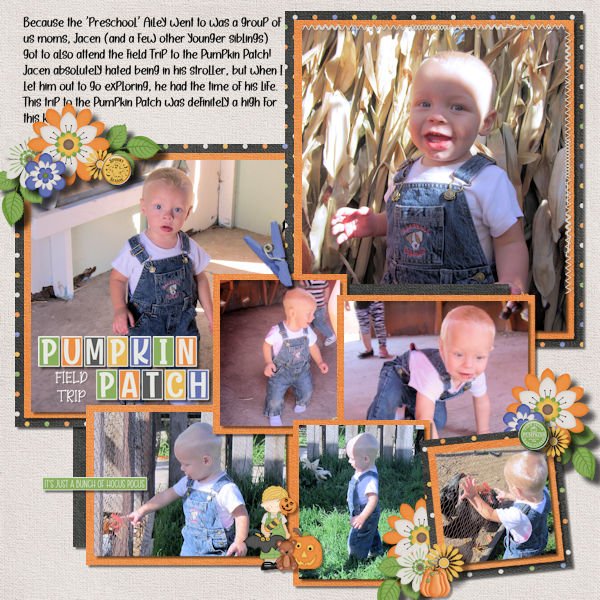 Pumpkin Patch