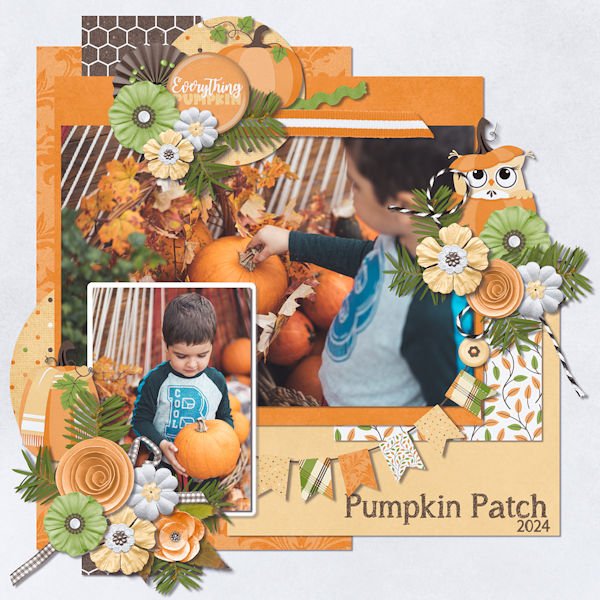 Pumpkin patch
