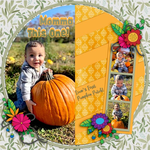 Pumpkin Patch