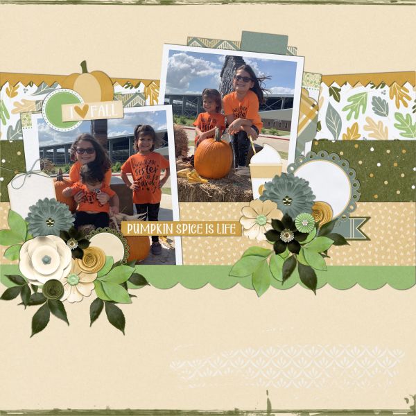 Pumpkin Patch