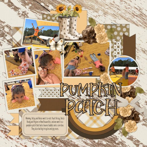 Pumpkin Patch