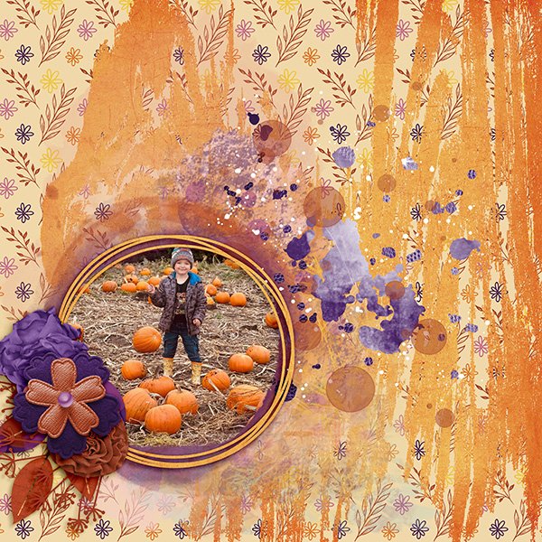 Pumpkin Patch